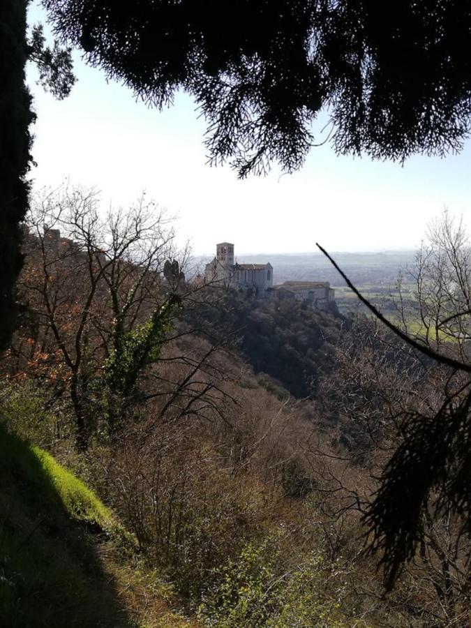Hotel Villa Elda Assisi Exteriör bild